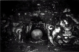 dragn terrestre, Tonin